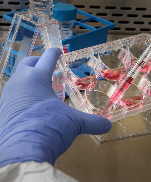 cdc-WCEOtVmk2VY-unsplash