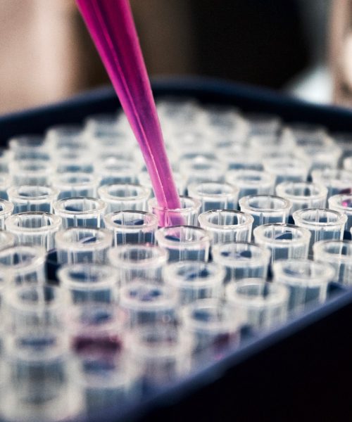 louis-reed-pwcKF7L4-no-unsplash